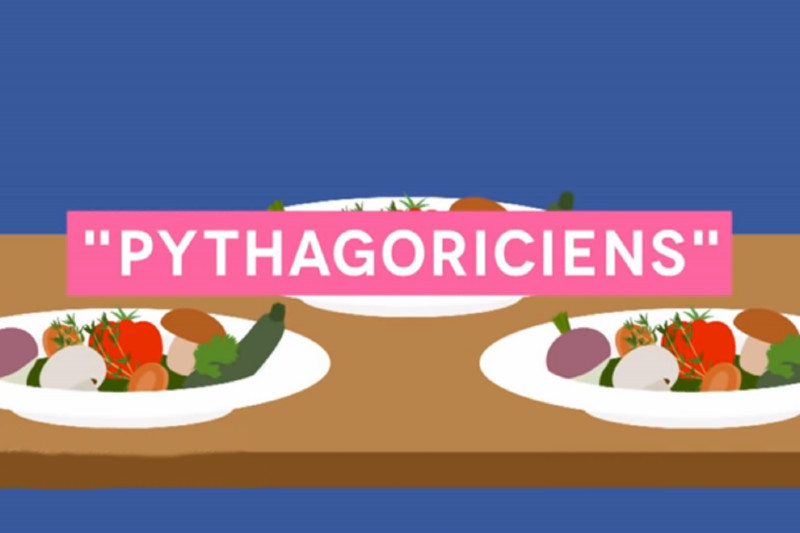 Cuisine végétarienne