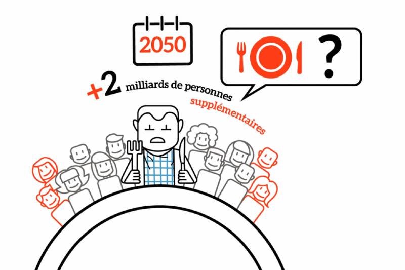 changer notre système alimentaire