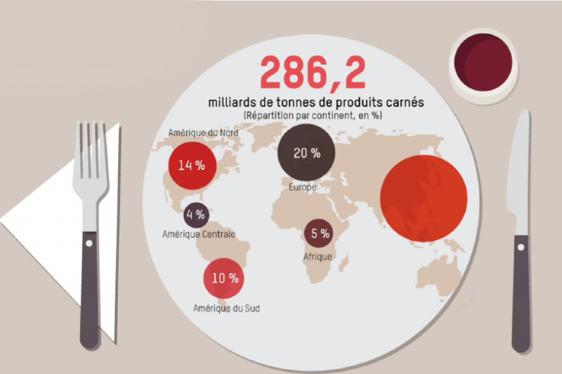 impact de la viande sur lenvironnement4